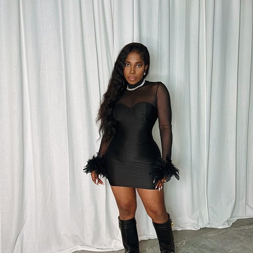 Long Sleeved Mesh Feather Wrapped Buttocks Slim Fit Dress RS-A321DS