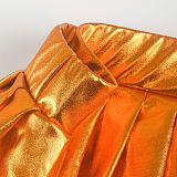 Shiny Skirts High Waisted Metallic A Line Pleated Skater Skirt HXZY-0294