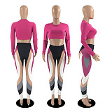 Long Sleeve Crop Top and Color Patchwork Pant Sets YB-6119