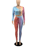Women Long Sleeves O Neck Skinny Multicolor Print Club Outfits 2pcs YB-60180