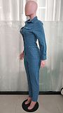 Women Lapel Collar Long Sleeve Button Slim Pencil Jumpsuit LX-3563