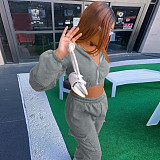 Zip Up Crop Top Jacket And Cargo Pants 2 Piece Set JZH-8123