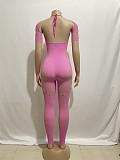 Women Short Sleeve Bodycon Jumpsuit Skinny Pink Mesh See Though RS-0026