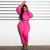 Solid Plush Hooded 2 Piece Set Fall Women Clothing YNS-2621