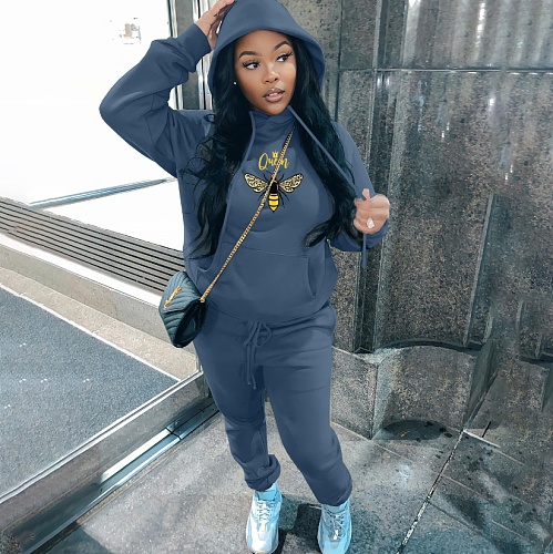 Autumn Winter Long Sleeves Hoodie Casual Long Pants Set 2pcs XING-337