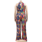 Abstract Print Sleeveless Wide Leg Plus Size Jumpsuits OSS-22235
