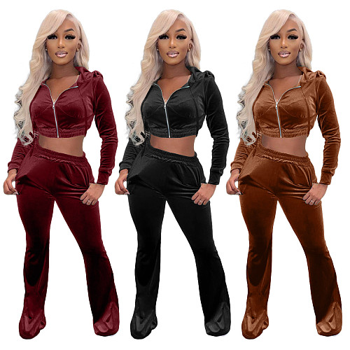 Velvet Zip Hooded Crop Top Flared Pants Set XMY-9341