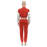 2023 Baseball Sport Jacket and Pants Sweatsuit WSY-5915