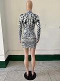 Sexy Printed High Neck Long Sleeves Bodycon Mini Dress YNS-2624