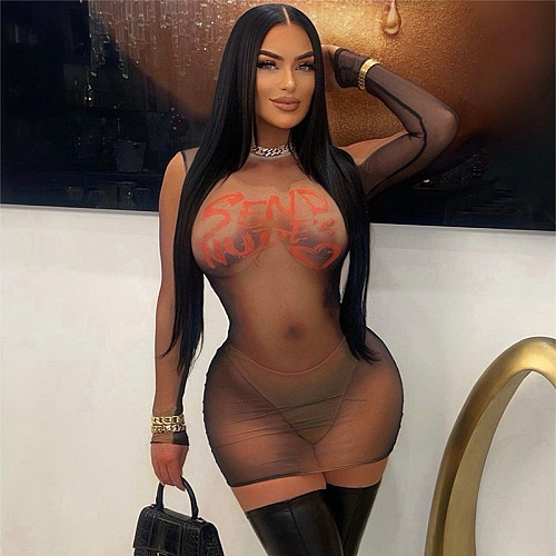 Round Neck Long Sleeved Perspective Pullover Buttocks Wrapped Dress RS-D23DS410