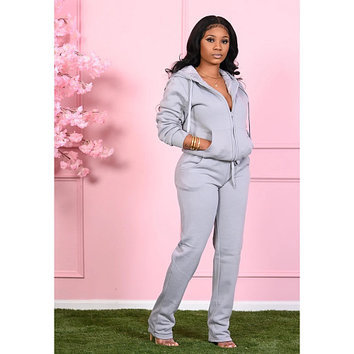 Solid Color Zipper Hoodied Top Sweatpants Two Piece Outfits SMD-2048