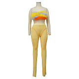 Feather Strap Sling Crop Top Sheer Mesh Pants Set YF-10179