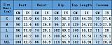 2024 Elegant Ladies V-neck Batwing Sleeve Long Jumpsuit YF-5088