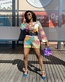 Floral Print Long Sleeve Single Breasted Shirt Shorts Set CY-7044