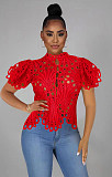 Short Sleeve Hollow Out Mesh Lace Shirt Sheer See Through Top YPG-1184