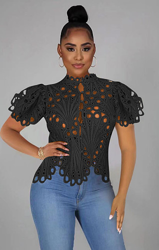 Short Sleeve Hollow Out Mesh Lace Shirt Sheer See Through Top YPG-1184