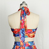 Crop Tops and Shorts Skirt Red Printed Sexy Backless Mini Outfits Sets RS-2733