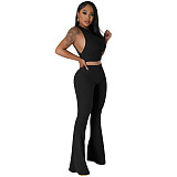 Solid Sleeveless Crop Tops Flare Pants Two Piece Set FE-276