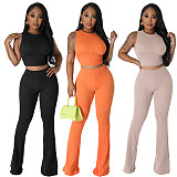 Solid Sleeveless Crop Tops Flare Pants Two Piece Set FE-276