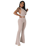 Solid Sleeveless Crop Tops Flare Pants Two Piece Set FE-276