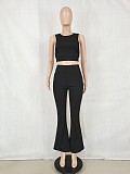 Solid Sleeveless Crop Tops Flare Pants Two Piece Set FE-276