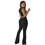 Solid Sleeveless Crop Tops Flare Pants Two Piece Set FE-276