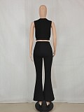 Solid Sleeveless Crop Tops Flare Pants Two Piece Set FE-276