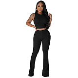 Solid Sleeveless Crop Tops Flare Pants Two Piece Set FE-276
