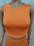 Solid Sleeveless Crop Tops Flare Pants Two Piece Set FE-276