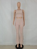 Solid Sleeveless Crop Tops Flare Pants Two Piece Set FE-276