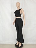 Solid Sleeveless Crop Tops Flare Pants Two Piece Set FE-276