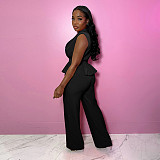 Casual Ladies Sleeveless Blazer With Bodycon Pants 2 Pieces Sets YF-10733