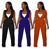 Casual Ladies Sleeveless Blazer With Bodycon Pants 2 Pieces Sets YF-10733