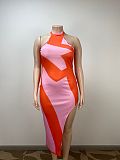 Sexy Backless Halter Women Print Sleeveless Split Plus Size Long Dress TB-6131