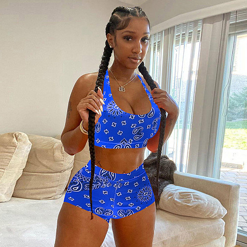 Paisley Print Sleeveless Two Piece Shorts Set WSY-5965