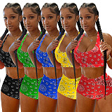 Paisley Print Sleeveless Two Piece Shorts Set WSY-5965