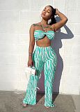 Striped Print Halter Bra Crop Tops Pleated Pants Suit ANDI-1533