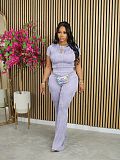 Casual Women Short Sleeves Tops And Long Pants Sporty 2 Pieces Set AIL-272