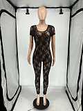 U-neck Bodysuit See-through Lace Lady Sexy Jumpsuit XRB-10096