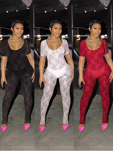 U-neck Bodysuit See-through Lace Lady Sexy Jumpsuit XRB-10096