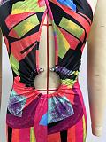 Sexy Printed Women Backless Halter Strech Slim Long Jumpsuit NY-10823