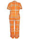 Leisure Women Short Sleeves Print Large Size Pants 2 Pieces Sets TB-5923