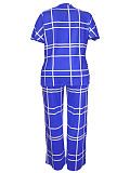 Leisure Women Short Sleeves Print Large Size Pants 2 Pieces Sets TB-5923