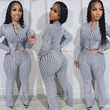Casual Women Zipper Long Sleeve Bodycon Pants Knitted 2 Pieces Sets NIYA-8179