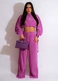 Chic Solid Stand Collar Straight Leg Trousers Suits CYU-9521