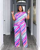 Fashion Printed Women Loose Plus Size 2 Pieces Sets TB-6332