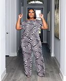 Fashion Printed Women Loose Plus Size 2 Pieces Sets TB-6332