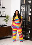 Fashion Printed Women Loose Plus Size 2 Pieces Sets TB-6332