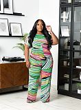 Fashion Printed Women Loose Plus Size 2 Pieces Sets TB-6332