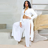 Women's Long Sleeves Solid Color Fashion Breasted Trouser Suits YF-10778